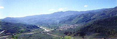 Orosi Valley