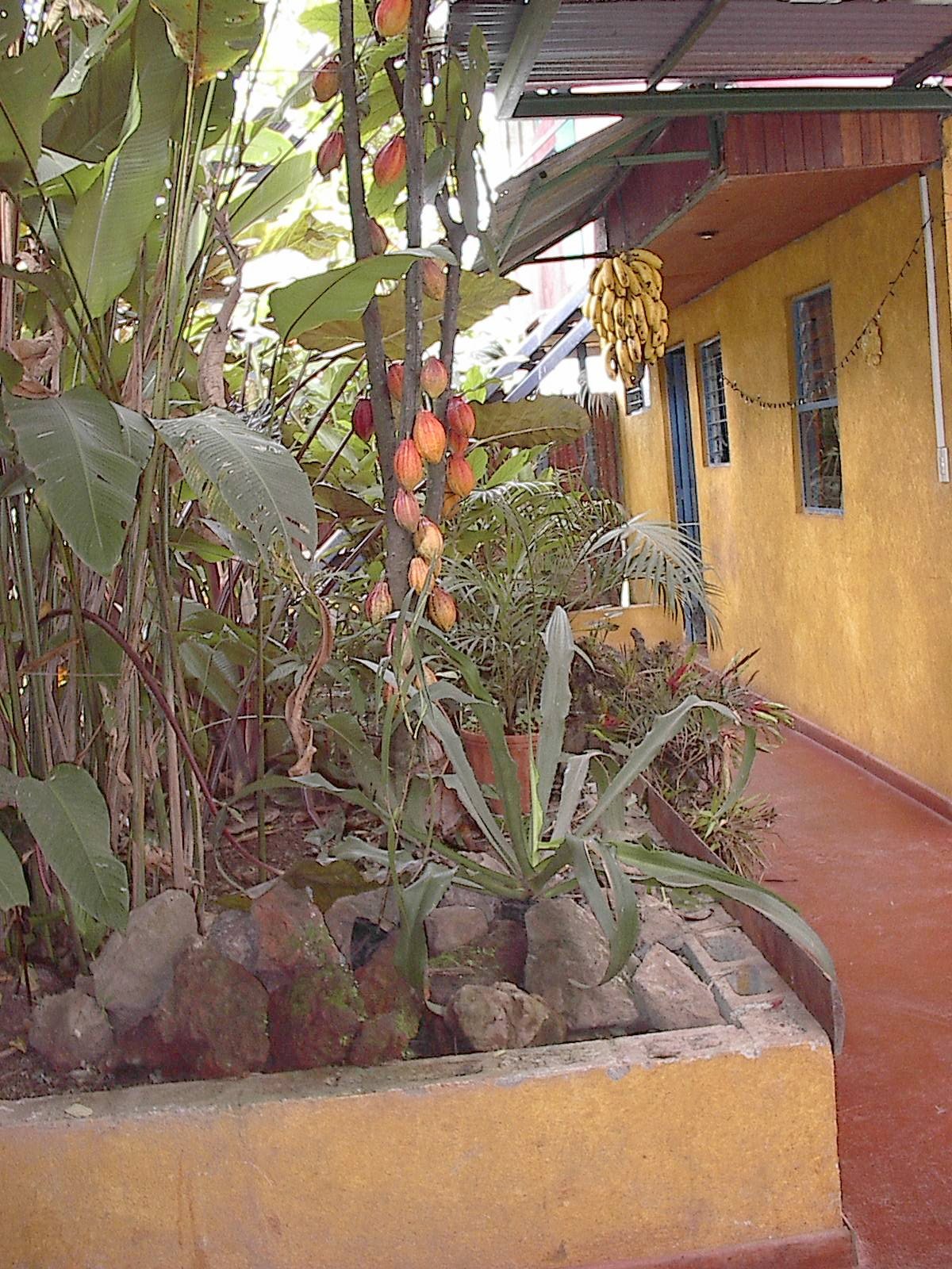 Youth hostel Costa Rica 1